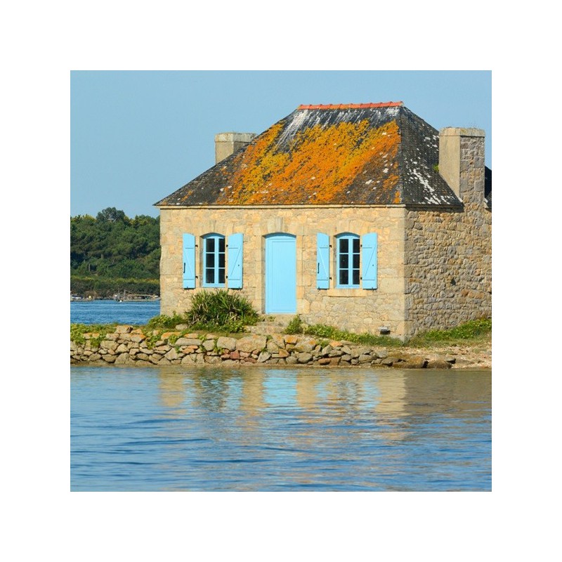 жилищное право во Франции - бесплатные консультации