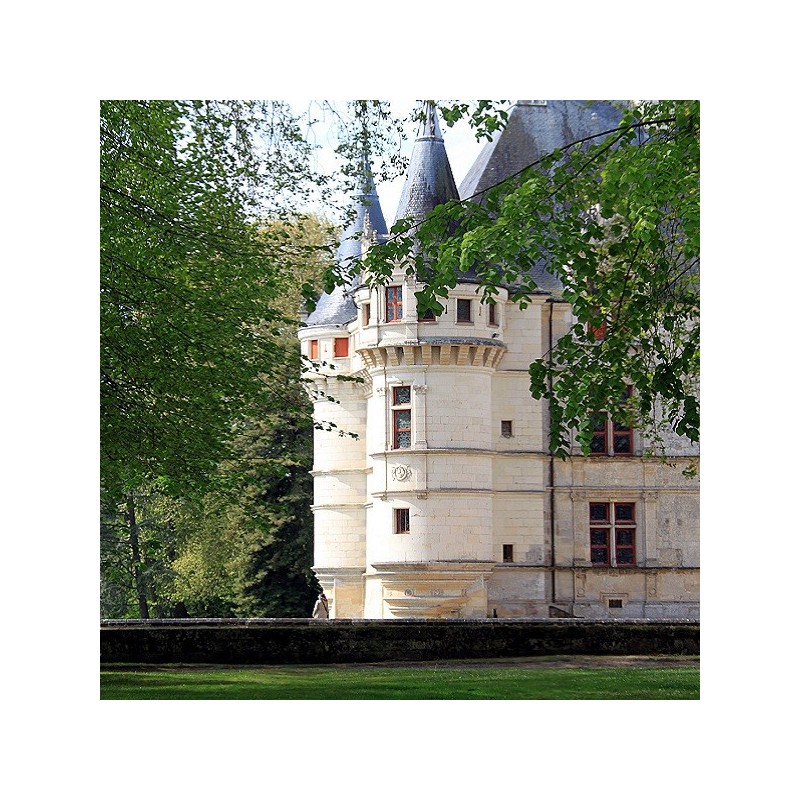 Замок Азе-ле-Ридо