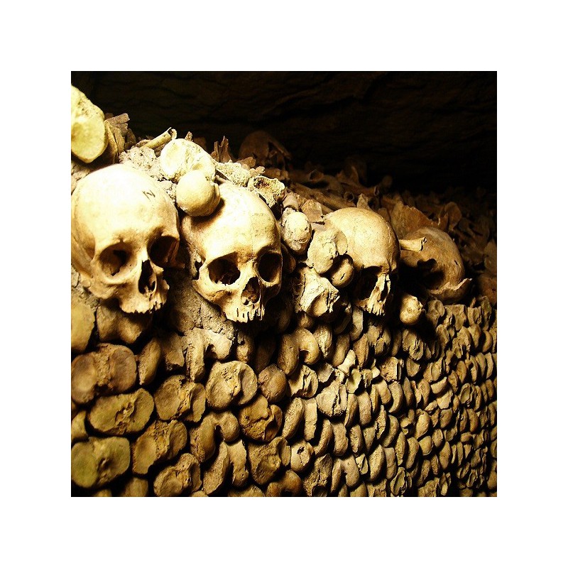 Catacombs Paris 