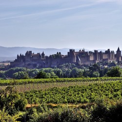 visite du château de Carcassonne