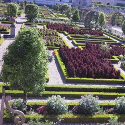 Château de Villandry visite parc et jardins
