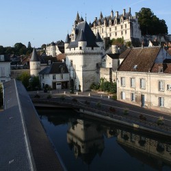 castle of Loches - tickets