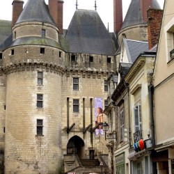 Visit of Château de Langeais