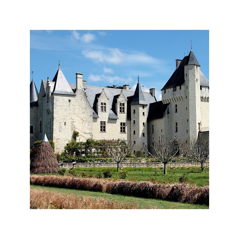 Burg Le Rivau