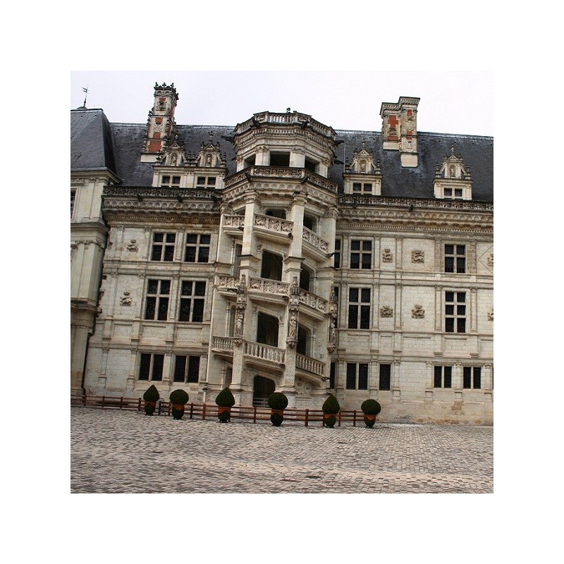 Zámek Blois