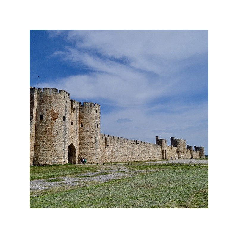Tickets Aigues-Mortes - towers and city walls