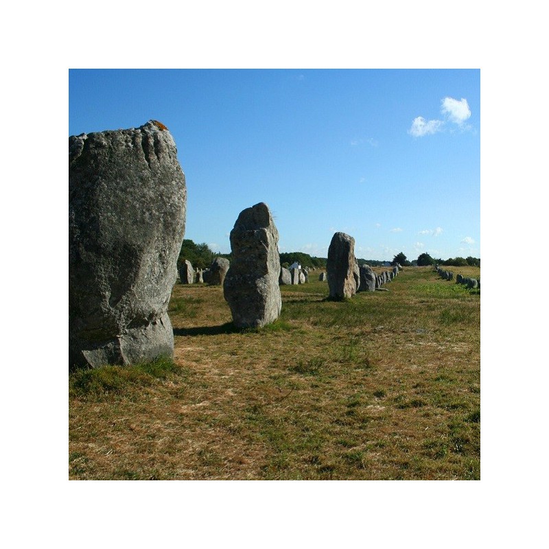 Tickets Carnac Stones