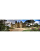 Châteaux de la Loire: billets pour visites châteaux du val de Loire 