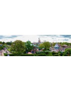 bilietas atrakcionų parkai Prancūzijoje Parkas Asterix Parkas Disneyland